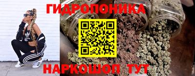 apvp Кандалакша