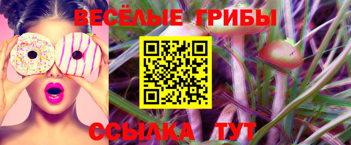 Псилоцибиновые грибы Cubensis Коммунар